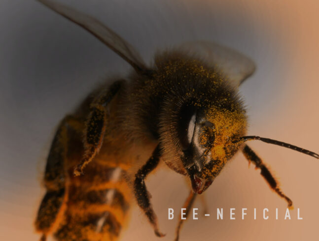 Visual Messaging & Typography