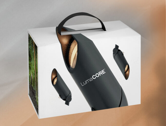 Landscape Lighting Display Kit